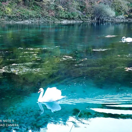 Camping Antica Dimora - Glamping Fiordaliso *