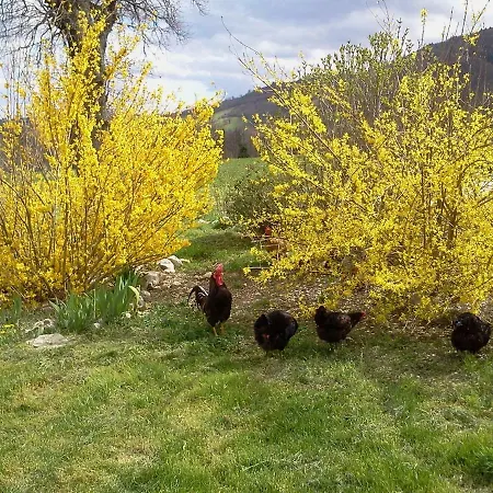 Antica Dimora - Glamping Fiordaliso Parque de Campismo Sarnano