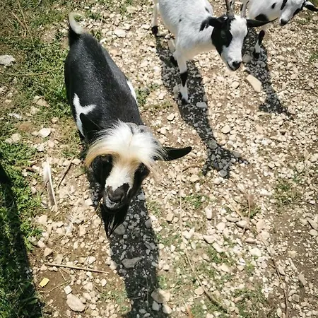 Parque de Campismo Antica Dimora - Glamping Fiordaliso Sarnano