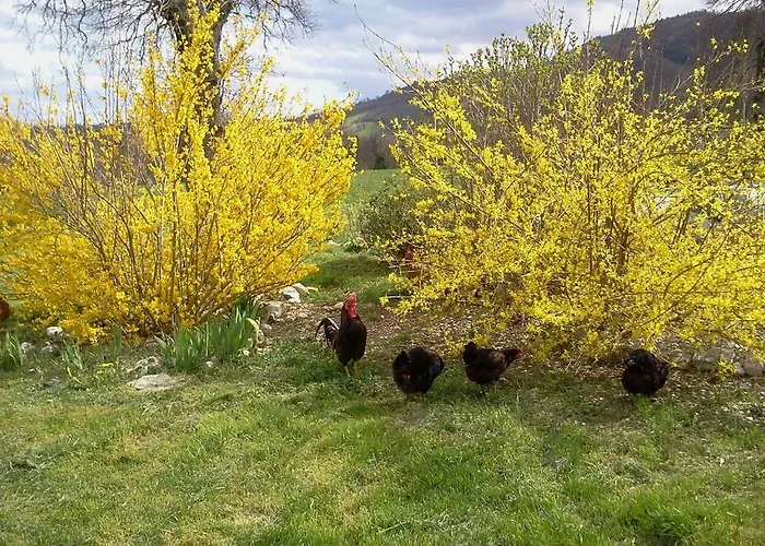 Antica Dimora - Glamping Fiordaliso 营地 萨尔纳诺